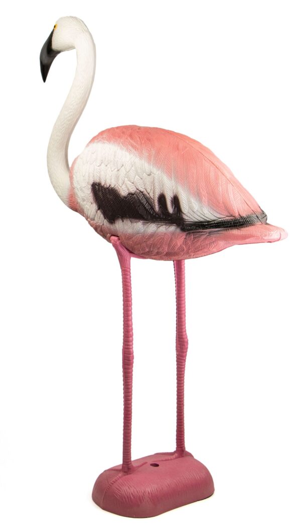 flamingo decoy