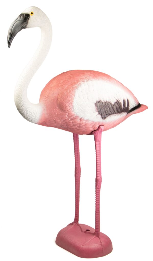 flamingo decoy